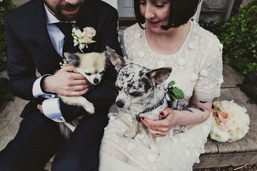 Quirky bride and groom with his and her cute dogs Derby wedding photography