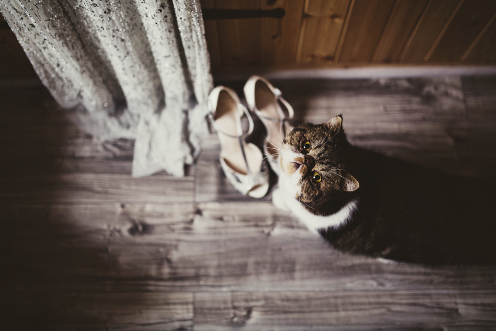 modern wedding photographer