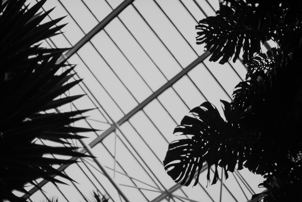 roof of the barbican conservatory wedding venue