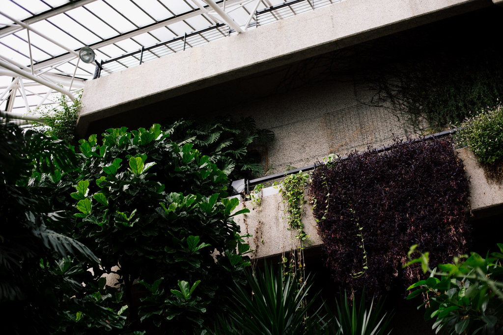 inside the barbican conservatory London venue