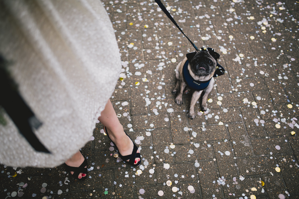 Bride with her pug outside Brighton Town Hall | Lisa Jane Photography | Modern Brighton Wedding Photography