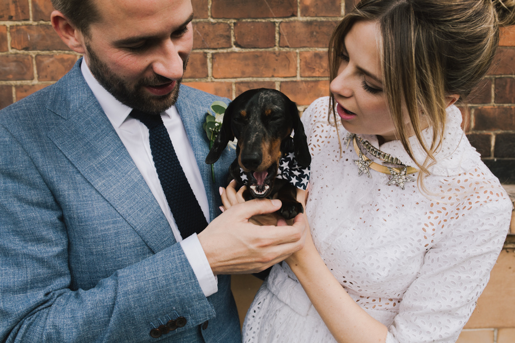 Bride & Groom with their dog at London Town Hall Wedding